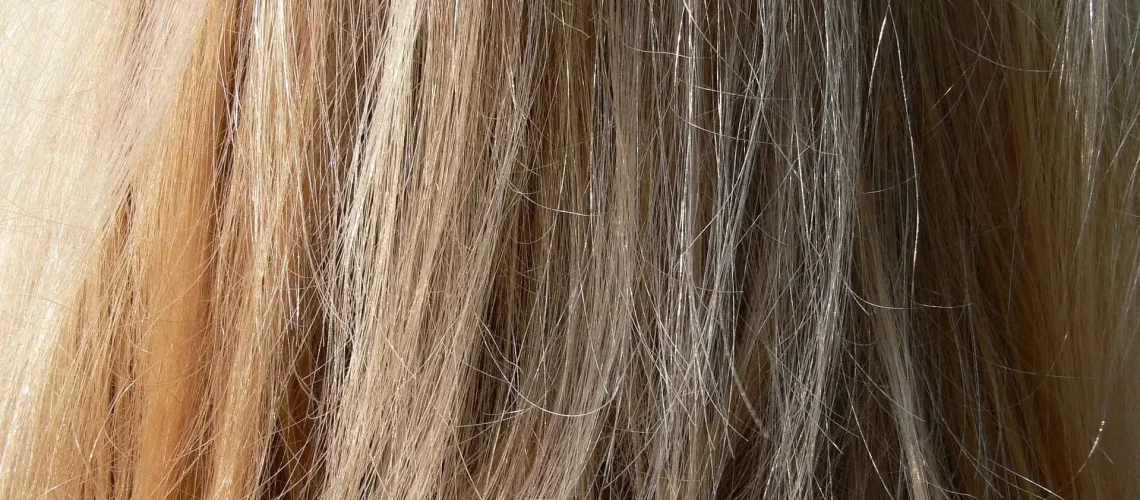 hair-958257_1920